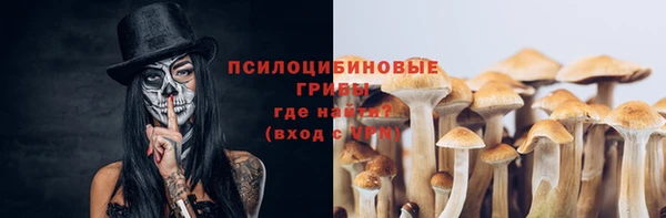 сатива Баксан
