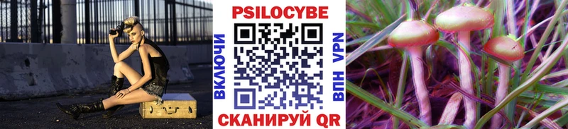 Купить закладки  Опочка  Галлюциногенные грибы мицелий 
